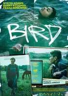 Bird Poster