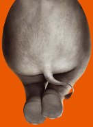 Horton Hears a Who! - Key art (xs thumbnail)