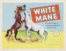 Crin blanc: Le cheval sauvage - Movie Poster (xs thumbnail)