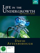 &quot;Life in the Undergrowth&quot; - New Zealand DVD movie cover (xs thumbnail)