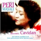Peri Masali - Turkish Movie Poster (xs thumbnail)