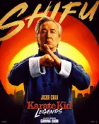 Karate Kid: Legends Poster