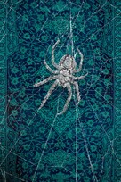 Holy Spider -  Key art (xs thumbnail)