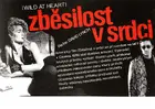 Wild at Heart Poster