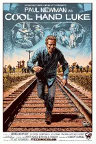 Cool Hand Luke Custom