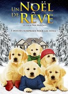 Golden Winter - French DVD movie cover (xs thumbnail)