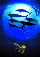 OceanWorld 3D - British Key art (xs thumbnail)