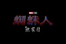 Spider-Man: No Way Home - Taiwanese Logo (xs thumbnail)