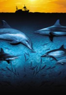 Wild Ocean 3D - Key art (xs thumbnail)