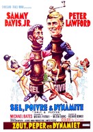 Salt and Pepper - Belgian Movie Poster (xs thumbnail)