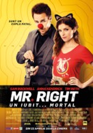 Mr. Right - Romanian Movie Poster (xs thumbnail)