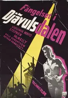 Devil's Canyon Poster