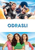 Grown Ups - Slovenian Movie Poster (xs thumbnail)