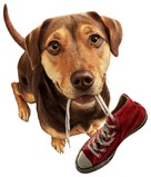 A Dog&#039;s Way Home -  Key art (xs thumbnail)