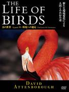 &quot;The Life of Birds&quot; - Japanese Movie Cover (xs thumbnail)