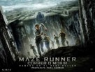 The Maze Runner - Mexican Movie Poster (xs thumbnail)