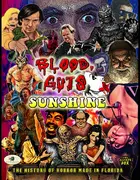 Blood, Guts and Sunshine Poster