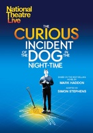 National Theatre Live: The Curious Incident of the Dog in the Night-Time - British Movie Poster (xs thumbnail)