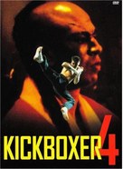 Kickboxer 4: The Aggressor - DVD movie cover (xs thumbnail)