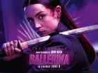 Ballerina Poster