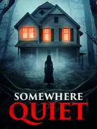 Somewhere Quiet - Video on demand movie cover (xs thumbnail)