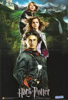 Harry Potter and the Goblet of Fire - French Movie Poster (xs thumbnail)
