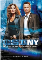&quot;CSI: NY&quot; - Polish DVD movie cover (xs thumbnail)
