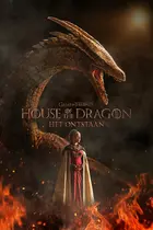 "House of the Dragon" Custom