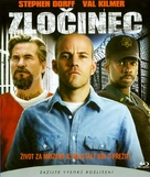 Felon - Czech DVD movie cover (xs thumbnail)