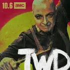 "The Walking Dead" Poster