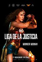 Justice League - Spanish Movie Poster (xs thumbnail)