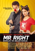 Mr. Right - Slovenian Movie Poster (xs thumbnail)