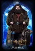 Harry Potter and the Philosopher&#039;s Stone - Chinese Movie Poster (xs thumbnail)