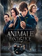 Fantastic Beasts and Where to Find Them - Romanian Blu-Ray movie cover (xs thumbnail)