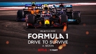 Formula 1: Drive to Survive - Turkish Movie Poster (xs thumbnail)