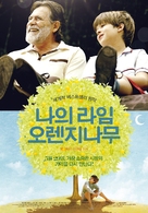 Meu p&eacute; de laranja Lima - South Korean Movie Poster (xs thumbnail)