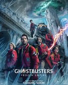 Ghostbusters: Frozen Empire - Irish Movie Poster (xs thumbnail)