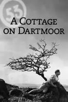 A Cottage on Dartmoor Other