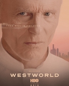 &quot;Westworld&quot; - Singaporean Movie Poster (xs thumbnail)