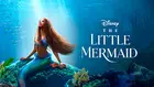 The Little Mermaid Poster