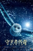 Legend of the Guardians: The Owls of Ga&#039;Hoole - Chinese Movie Poster (xs thumbnail)