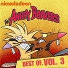 &quot;The Angry Beavers&quot; - DVD movie cover (xs thumbnail)