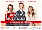 Po cem muzi touz&iacute; - Czech Movie Poster (xs thumbnail)