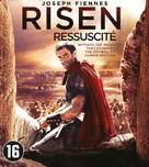 Risen - Dutch Movie Cover (xs thumbnail)