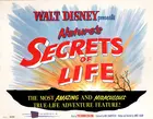 Secrets of Life Poster