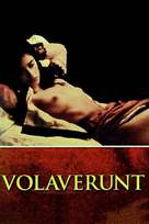 Volav&eacute;runt - Italian Movie Cover (xs thumbnail)