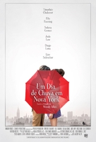 A Rainy Day in New York - Brazilian Movie Poster (xs thumbnail)