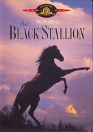 The Black Stallion - DVD movie cover (xs thumbnail)