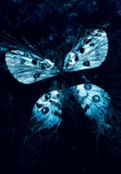 Butterfly Effect: Revelation - Key art (xs thumbnail)