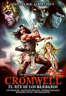 The Sword and the Sorcerer - Spanish DVD movie cover (xs thumbnail)